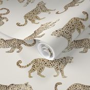 Leopard Parade Cream
