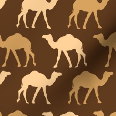 Caravan of camels