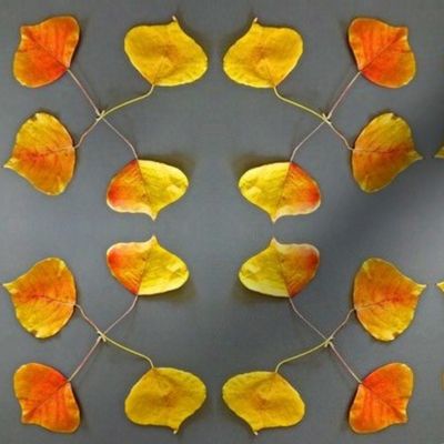 Autumn Leaves Circles