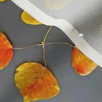 Autumn Leaves Circles