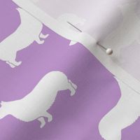 Corgi Silhouette - purple