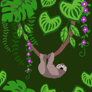 Sloth in a tropical rainforest,