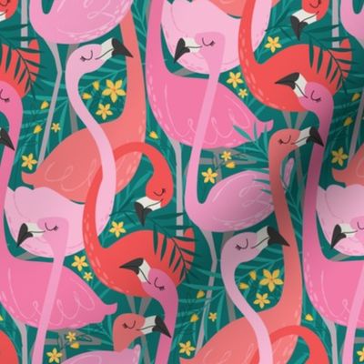 flock of flamingos