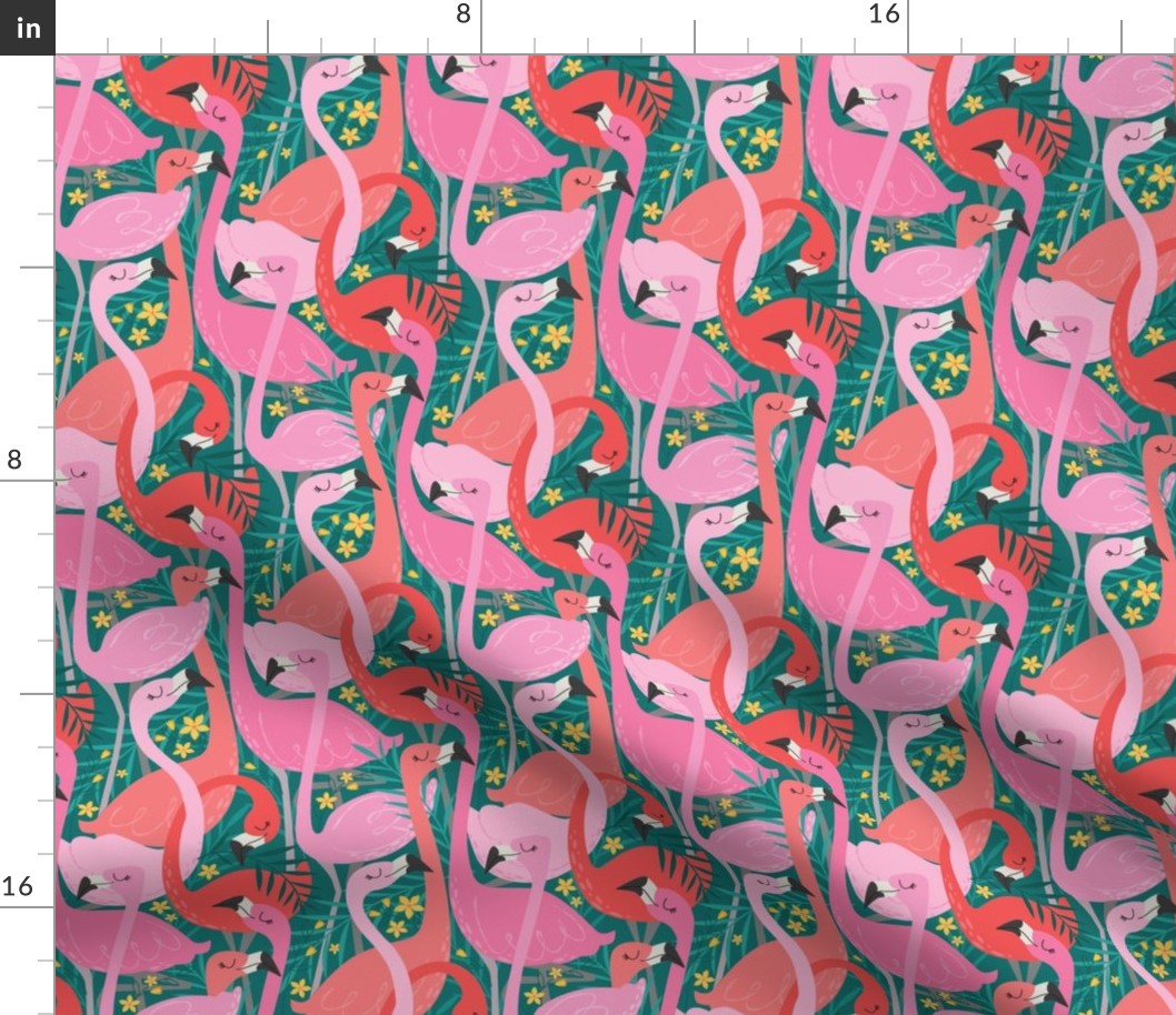 flock of flamingos