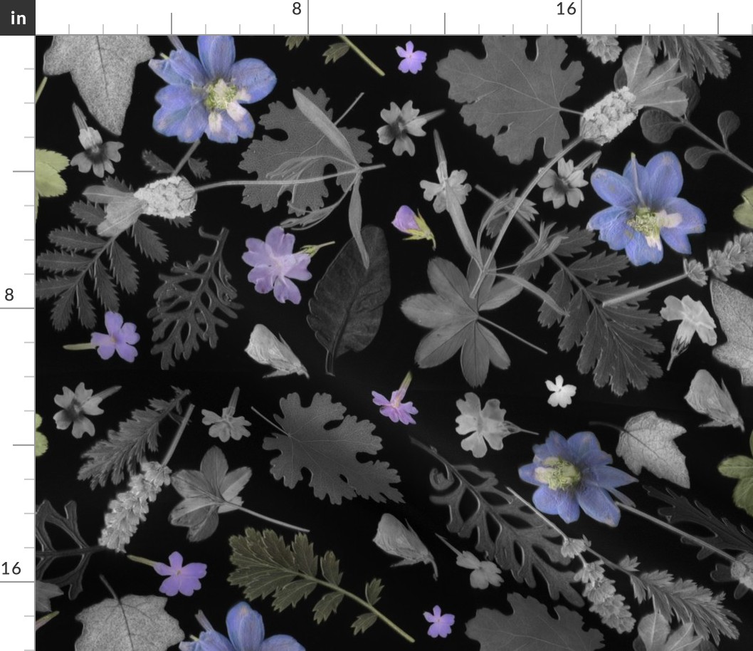 Blue larkspur dark floral