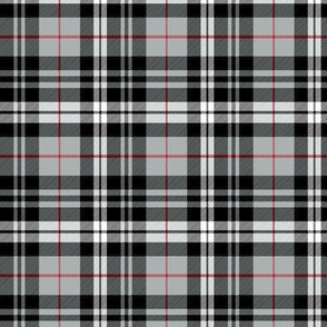 (small scale) fall plaid || red stripe C18BS