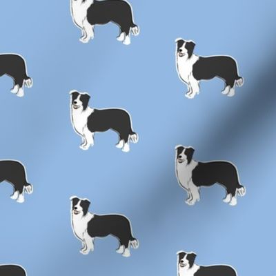 Border Collie (Blue)