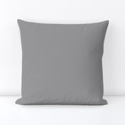 Pure Gray 7: Solid Medium Gray, Solid Gray Fabric