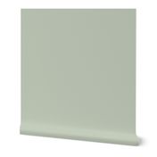 Sage 4 Solid: Sage Green, Light Gray Green Solid