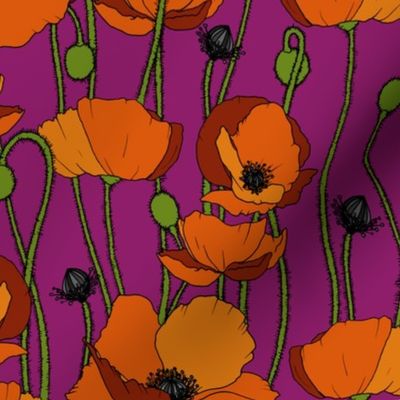 Orange poppy repeat magenta - medium