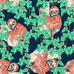 sloths and tropical  vines