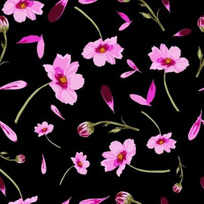 Cosmos Flowers on Black Background-Flowers in Bloom pattern