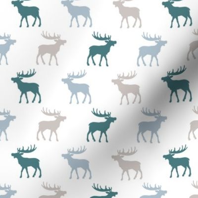 Canadian winter animals woodland moose deer blue boys