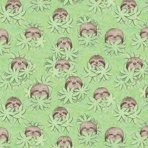 Happy Sloths