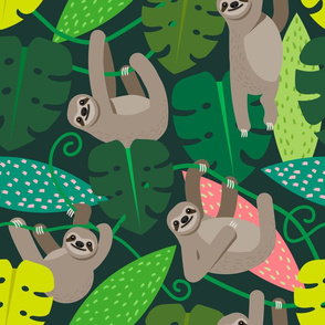 Sloths in the Jungle