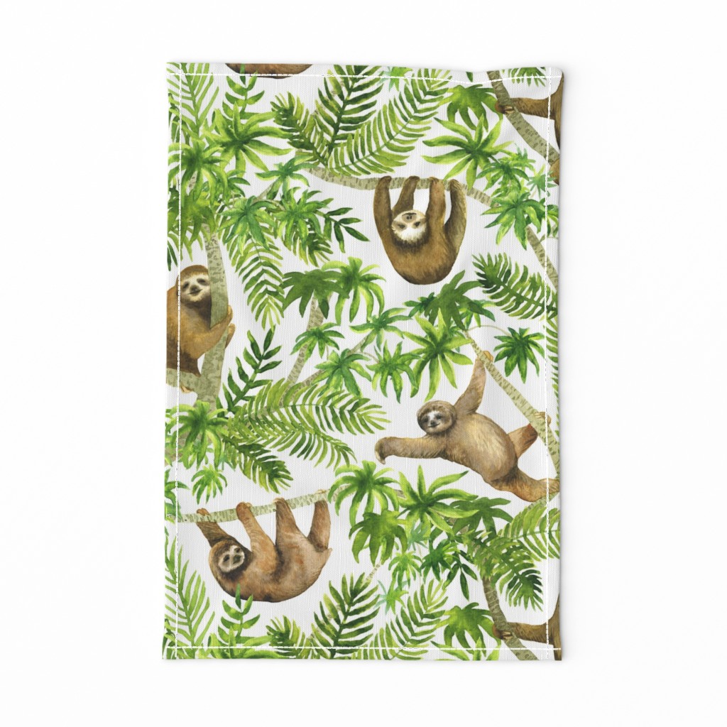 sloths (large scale)
