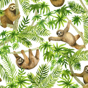 sloths (large scale)