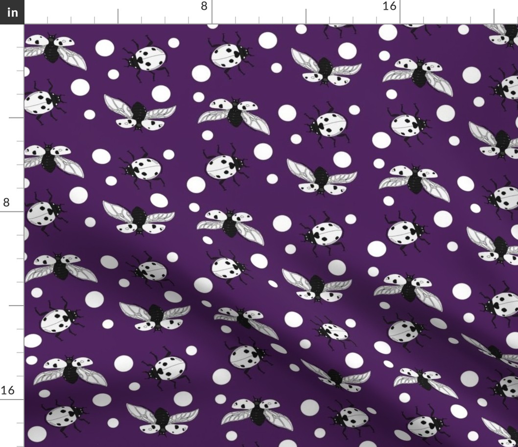 Ladybird polka dot purple