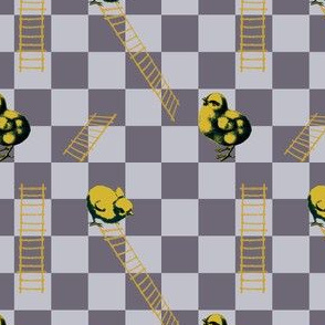Chooks and Ladders | Bee Dance