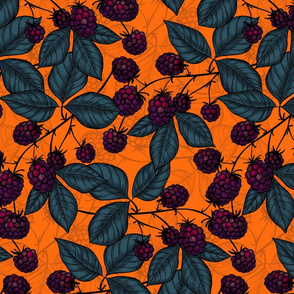 Blackberry hand  drawn pattern