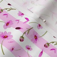 Cosmos Wedding-Flowers in Bloom, repeat pattern