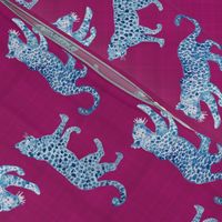 Leopard Parade Blue on Magenta