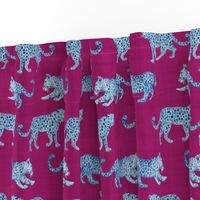 Leopard Parade Blue on Magenta