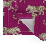 Leopard Parade Magenta