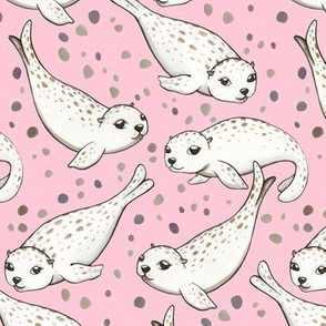 Harbor Seal Pups (pink background)