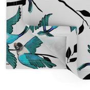 Lovebirds - Love in the Air | Teal-White-Black