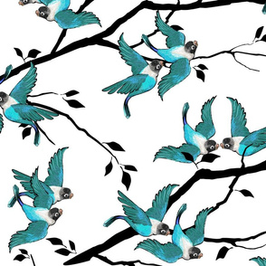 Lovebirds - Love in the Air | Teal-White-Black