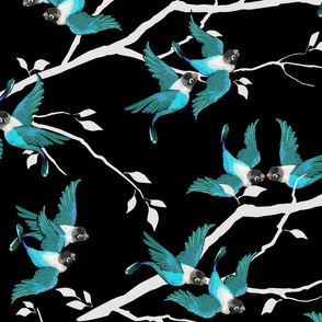 Lovebirds - Love in the Air | Teal-White-Black