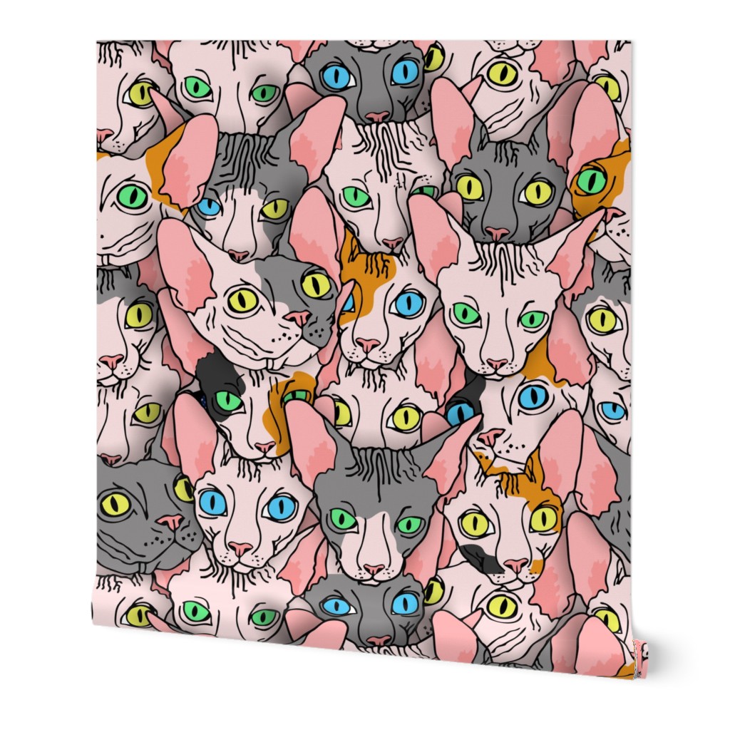 sphynx block diverse 