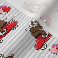 Scooter Sloths  - Valentine's Day - Grey Stripes