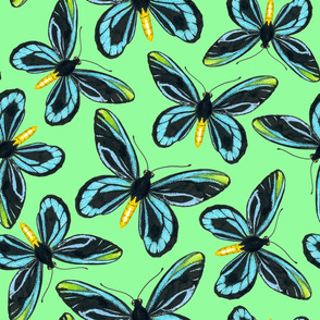 Birdwing butterfly pattern