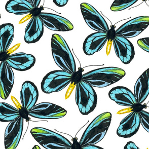 Birdwing butterfly pattern 2