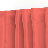 Coral Reef ~ Peacoquette Palette Solids