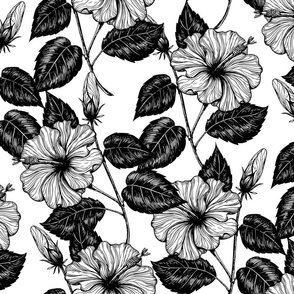 Hibiscus drawing pattern