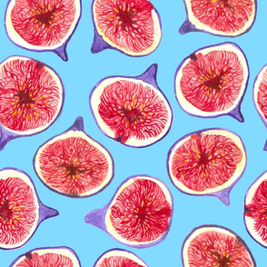 Fig slices watercolor pattern