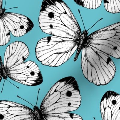 Cabbage butterfly pattern