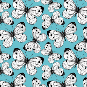 Cabbage butterfly pattern