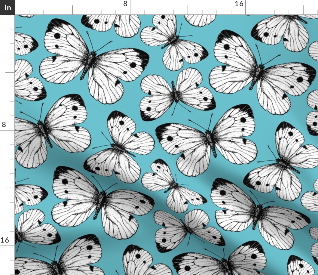 Cabbage butterfly pattern