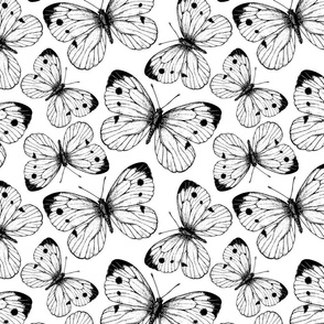 Cabbage butterfly pattern