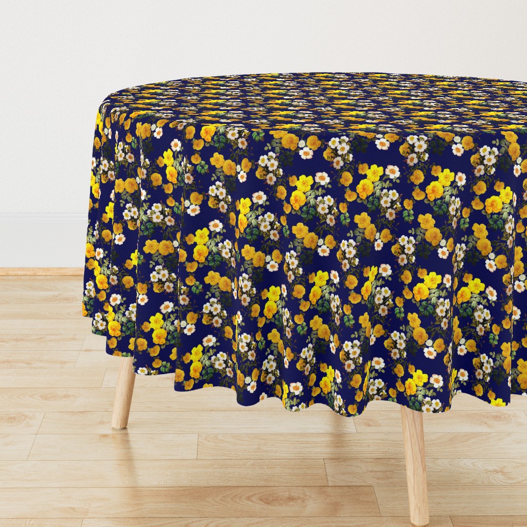 Yellow rose, Redoute rose / navy, yellow and white floral