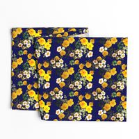 Yellow rose, Redoute rose / navy, yellow and white floral