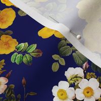 Yellow rose, Redoute rose / navy, yellow and white floral