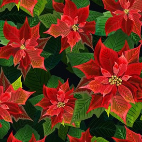 Poinsettia pattern