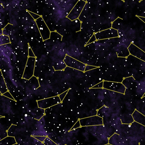 Leo Lion Constellation