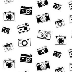 Black and white cameras