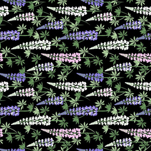 Lupine Fields - black multicolor - small scale rotated